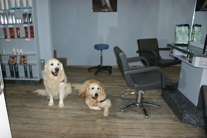 Coiffeur si belle