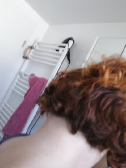 Friseursalon Wyss und Ciccarese