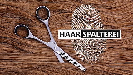 Haarspalterei