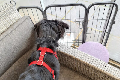 Haarstudio am Teichberg