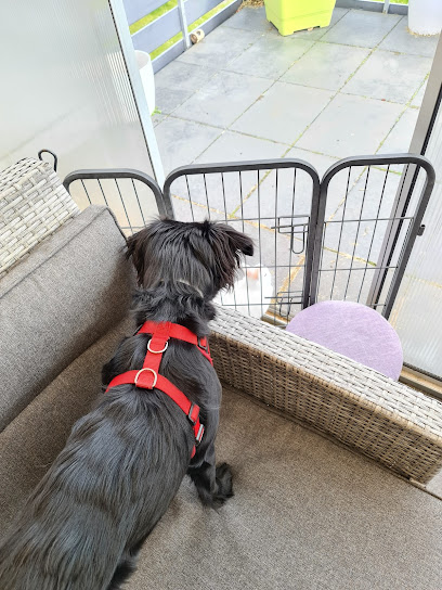 Haarstudio am Teichberg