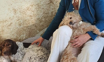 Haarvision München- Freiham