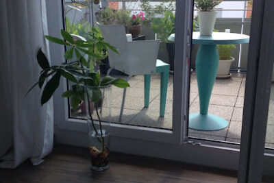 LINDEN DER SALON