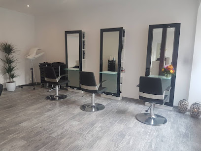 Maestro Coiffeur