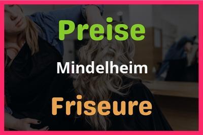 Preise Mindelheim Friseur