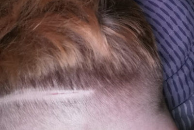 Profi Barber Bamberg