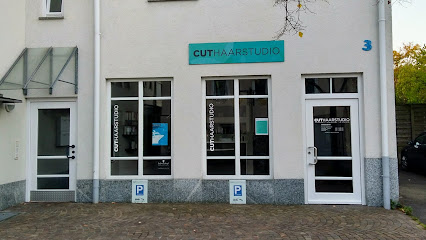 Salon Cut